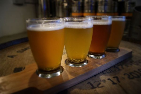 Flight of Center Square Brewing beer samples