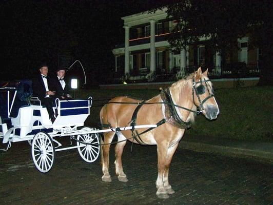 Horse Carriage Services for Mississippi and Louisiana for Weddings and Special Events.