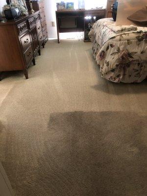 Carpet had never been professionally cleaned and look at these results