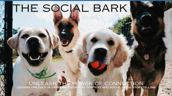 The Social Bark