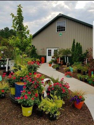 Harmony Nursery & Daylily Farm