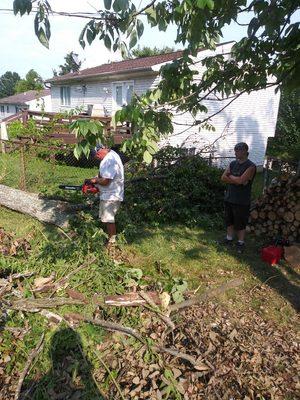 Me cutting up tree