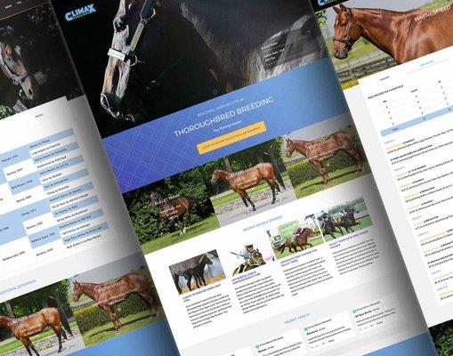 Website: Climax Stallions - Racehorse Breeding (climaxstallions.com)