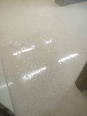 Floor Stripping & Waxing in Lexington, SC