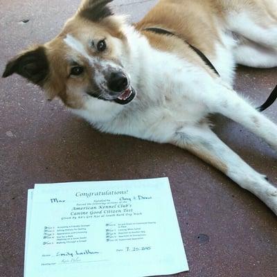 Max with his AKC Good Citizen diploma :)