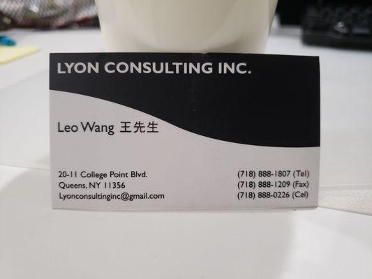 Lyon Consulting