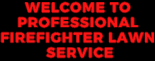 https://professionalfirefighterlawnservice.net