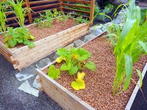 These raised beds were from a recent Street of Dreams Home