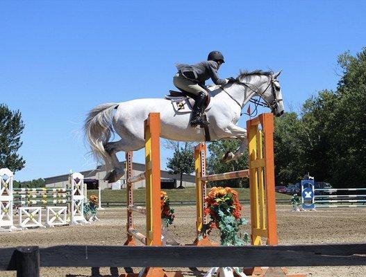 Our homebred horse, Blue Pearl, showing at HITS Saugerties.