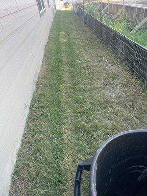 A yard cut & we added fertilizer to kill all the overgrown weeds