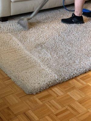 Living room area rug