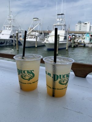 Orange crushes on the deck!