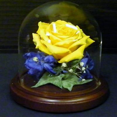 Gorgeous Yellow Rose in a 4" x 4" Glass Dome!