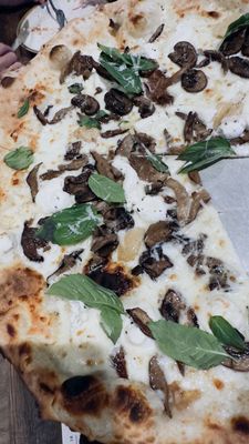 Mushroom Bianca