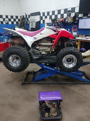 Trx250x