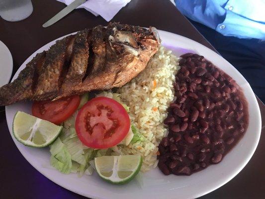 Fried tilapia fish $12.95