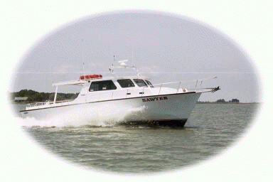 Chesapeake Bay Fishing Charters