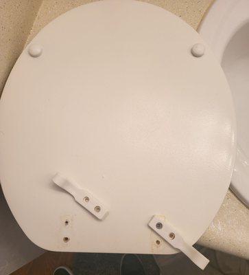 No screws in the toilet seat. I wonder how it was even on there. Oh yea, dried piss and poop.