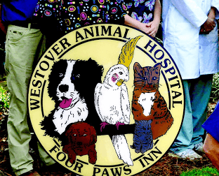 Westover Animal Hospital