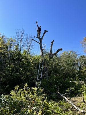 Sunset Valley Landscape & Tree Service