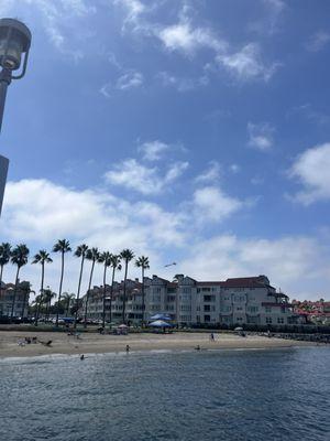 The beach at Coronado Ferry landing. Saw folks fishing at the pier and sunbathers and kids playing on the sand. Didn't look over crowded.