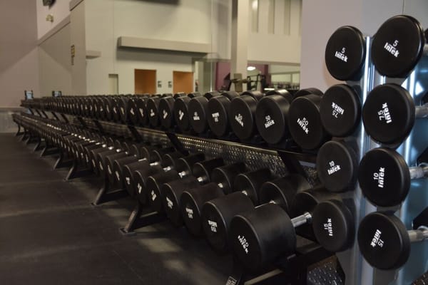 One of the Biggest Dumbbell Sections in the Area