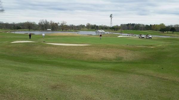 Windmill #9 green