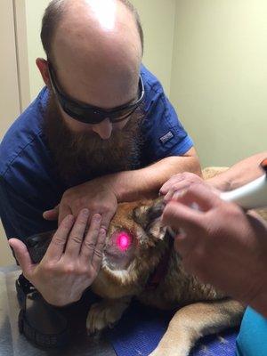 Laser Therapy