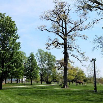 paved walking trails