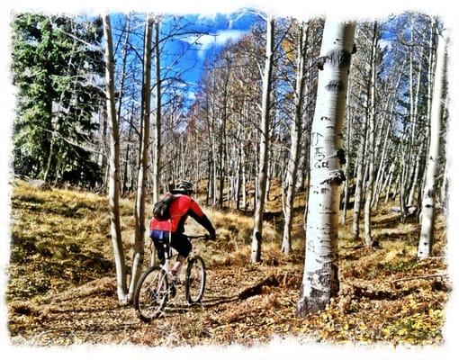 Mountain biking on the Arizona trail