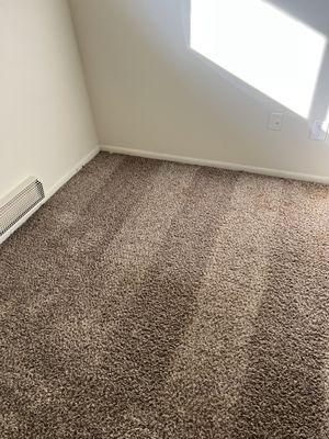 Carpet cleaning