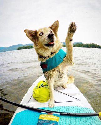 Lake George Kayak