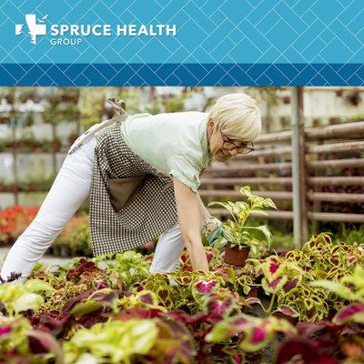 Spruce Health Group-Littleton