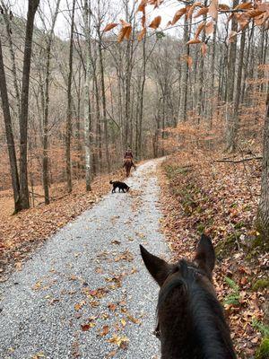 Twin Valley Horse Ranch