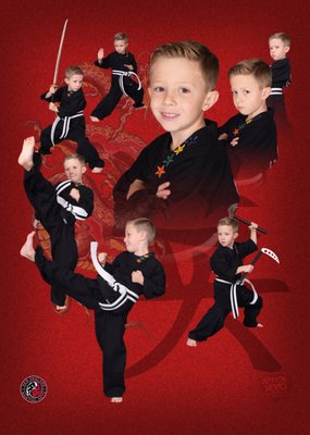 Jakob's professional Taekwondo Pix!