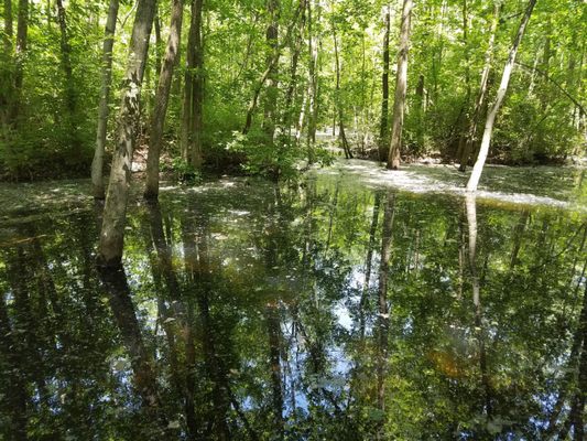 Rangeline Nature Preserve