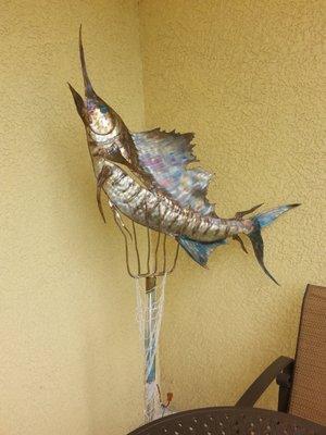 Sailfish of Stainless