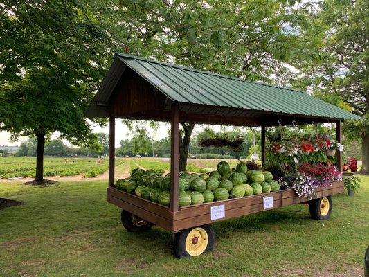 Side of market overlooking pick your own fields