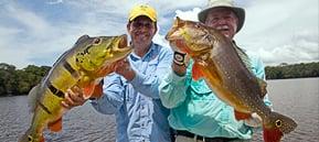 Captin Peacock Expeditions for Unforgettable Peacock Bass Fishin' on the Amazon in Manaus,Brazil !