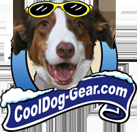 Cool Dog Gear for your Cool Dog