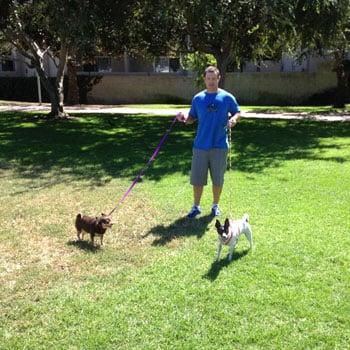 Dog Walking and Pet Care in Hermosa Beach, Redondo Beach and Manhattan Beach