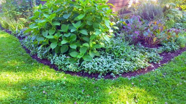 Trimming and mulching