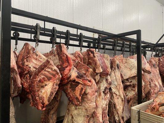 Custom Beef Carcass' hung for aging