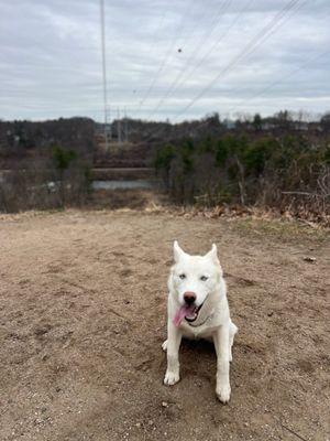 Hiking trails