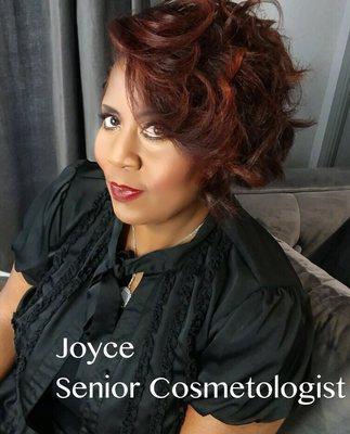 Joyce is a Senior Cosmetologist with over 20+ years of experience in the hair industry.