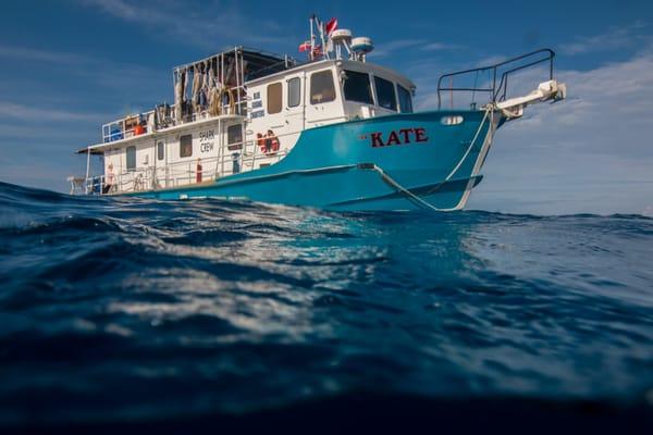 Blue Iguana Charters