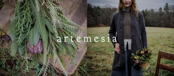 Artemesia