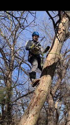 Keeper of the Trees