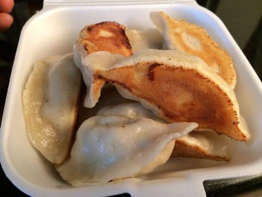 Pork and chive dumplings