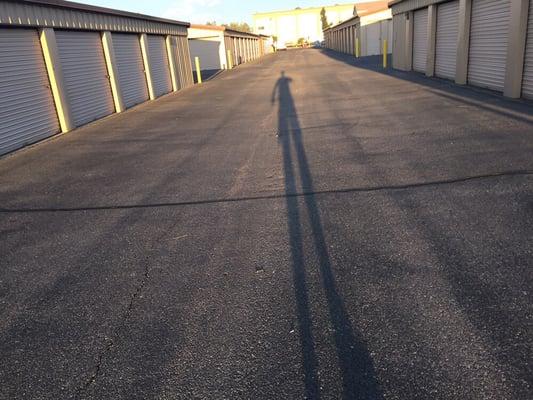 Long shadows in late day